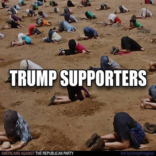 trump supporters head in the sand