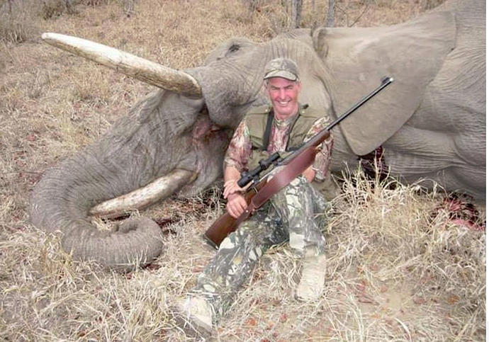 elephants being killed by idiots