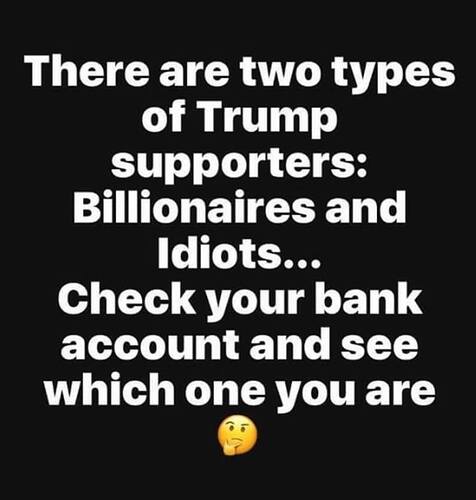 Trump supporters, millionaires and idiots