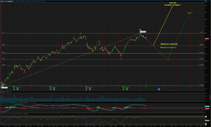 Screen Shot 2023-12-29 at 11.29.13 AM