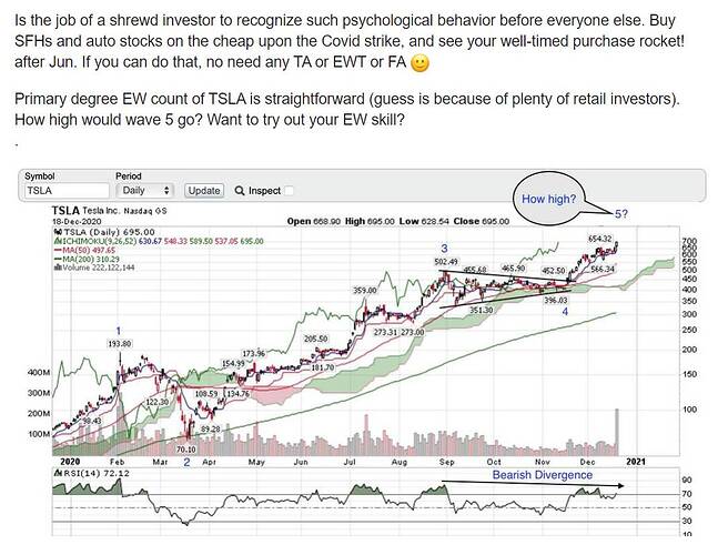 2020_12_19_tsla_how_much_W5