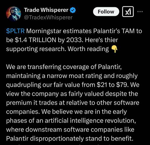Trade Whisperer on X $PLTR Morningstar estimates Palantir's TAM to be $1.4 TRILLION by 2033. Here's thier supporting research