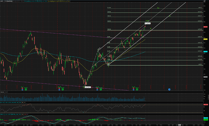 AAPL 1y1d