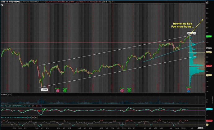 Screen Shot 2025-10-30 at 1.04.04 PM