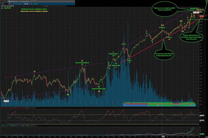 AAPL 1985