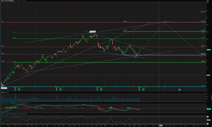 AAPL YTD 1d