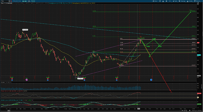 TSLA 1y1d