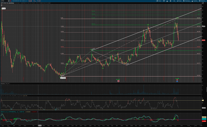 Screen Shot 2021-11-04 at 1.59.27 PM