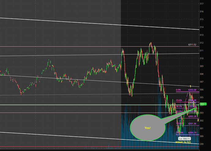 Screen Shot 2021-03-04 at 2.29.13 PM