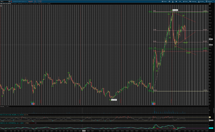 Screen Shot 2021-12-01 at 12.25.02 PM